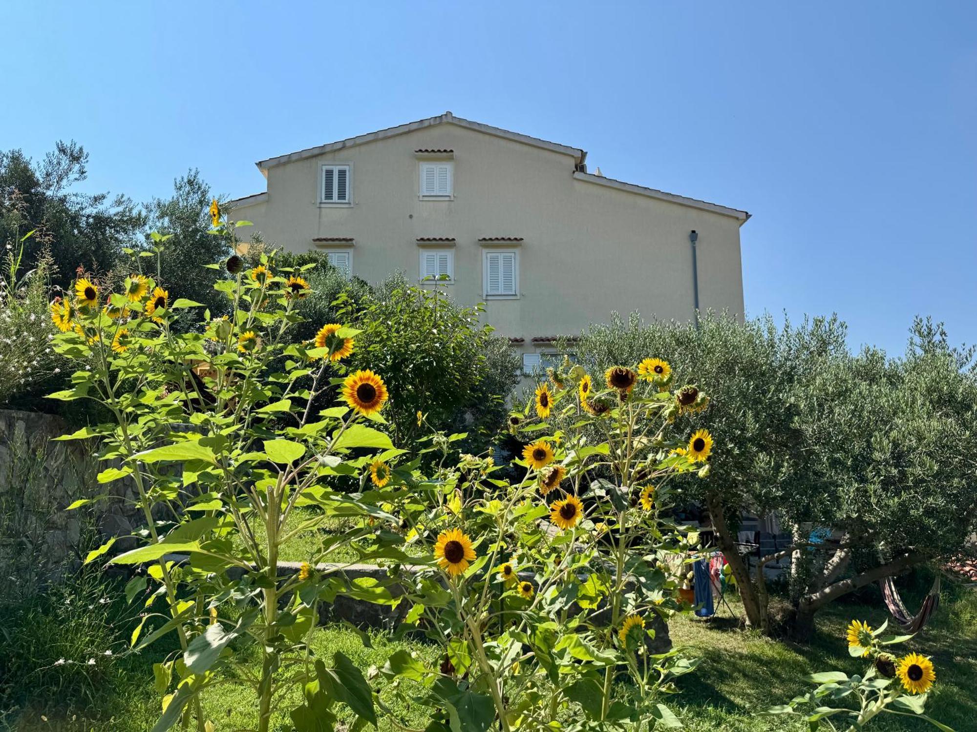 Apartments Maricic Banjol Екстер'єр фото
